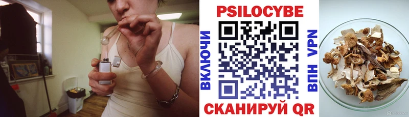 купить наркоту  omg онион  Галлюциногенные грибы ЛСД  Бакал 